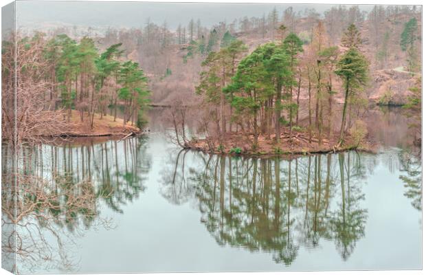 Tarn Hows Islands Canvas Print by Kate Lake