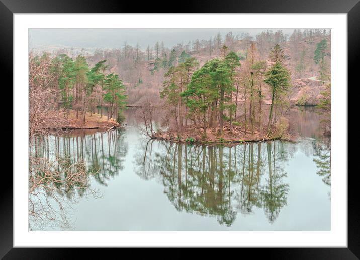 Tarn Hows Islands Framed Mounted Print by Kate Lake