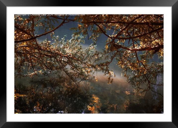 Natures Dream Abbots Leigh Framed Mounted Print by Christine Lake