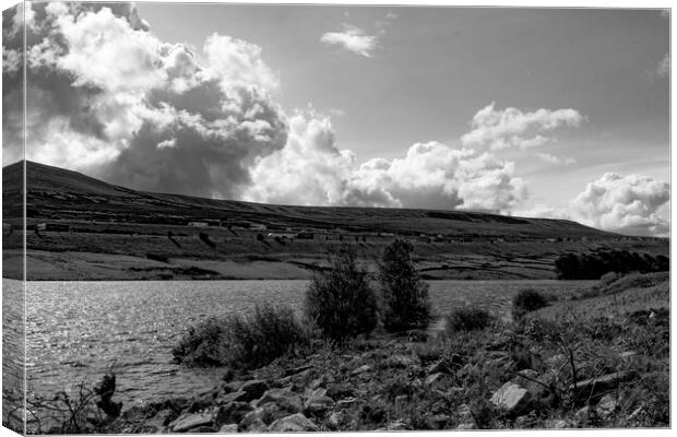 Booth Wood Reservoir Mono Canvas Print by Glen Allen