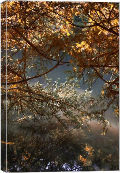 Natures Dream Abbots Leigh 2 Canvas Print by Christine Lake