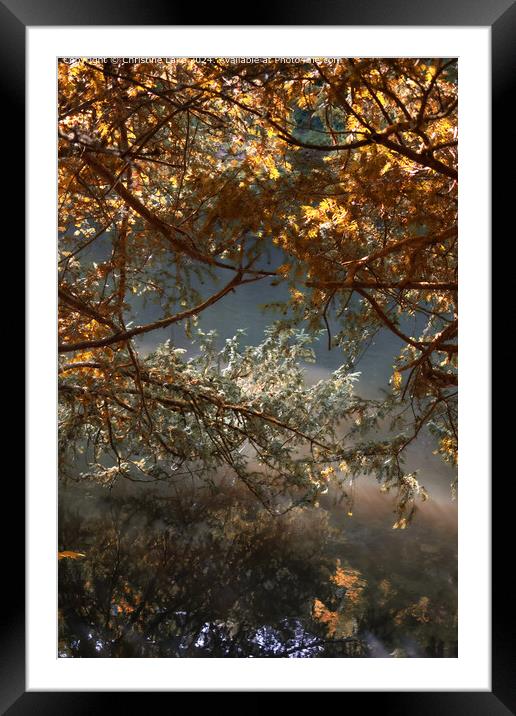 Natures Dream Abbots Leigh 2 Framed Mounted Print by Christine Lake