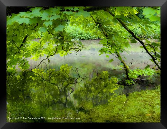 River Bradford  Framed Print by Ian Donaldson