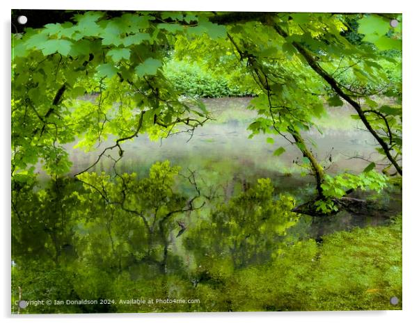 River Bradford  Acrylic by Ian Donaldson