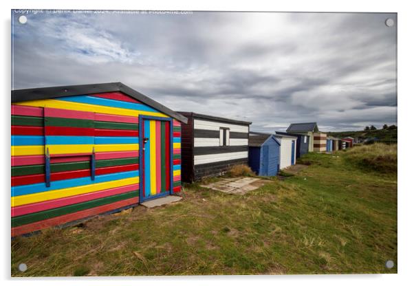 Vibrant Beach Huts Landscape Acrylic by Derek Daniel
