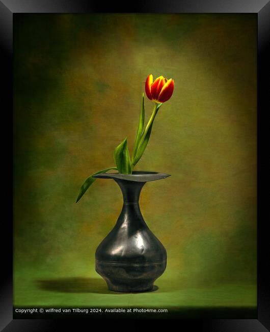 Yellow Tulip Still Life Framed Print by wilfred van Tilburg