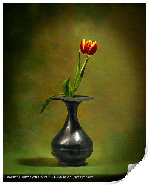 Yellow Tulip Still Life Print by wilfred van Tilburg