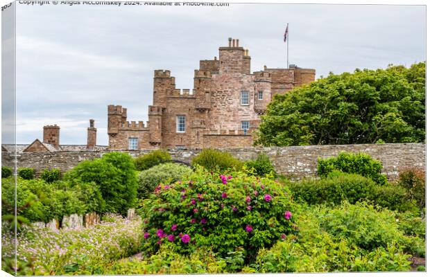 Castle of Mey in Caithness, Scotland Canvas Print by Angus McComiskey