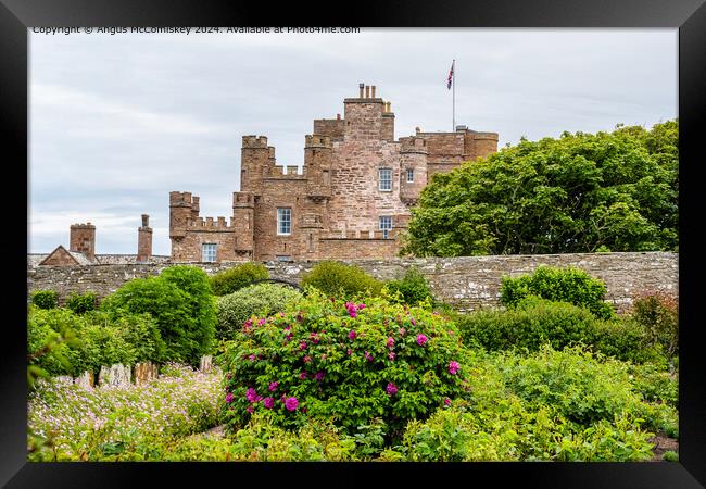 Castle of Mey in Caithness, Scotland Framed Print by Angus McComiskey