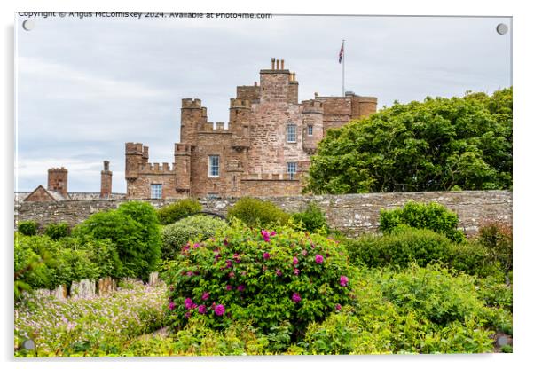 Castle of Mey in Caithness, Scotland Acrylic by Angus McComiskey