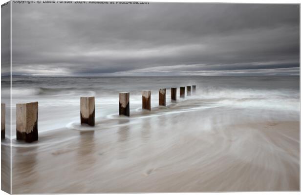 Stormy Findhorn Bay Seascape Canvas Print by David Forster