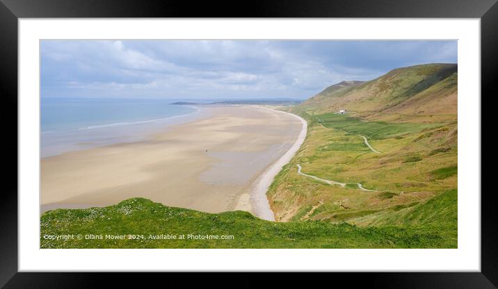 Rhossili Bay and beach Framed Mounted Print by Diana Mower