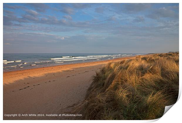 Brora Beach at Sunset  Print by Arch White