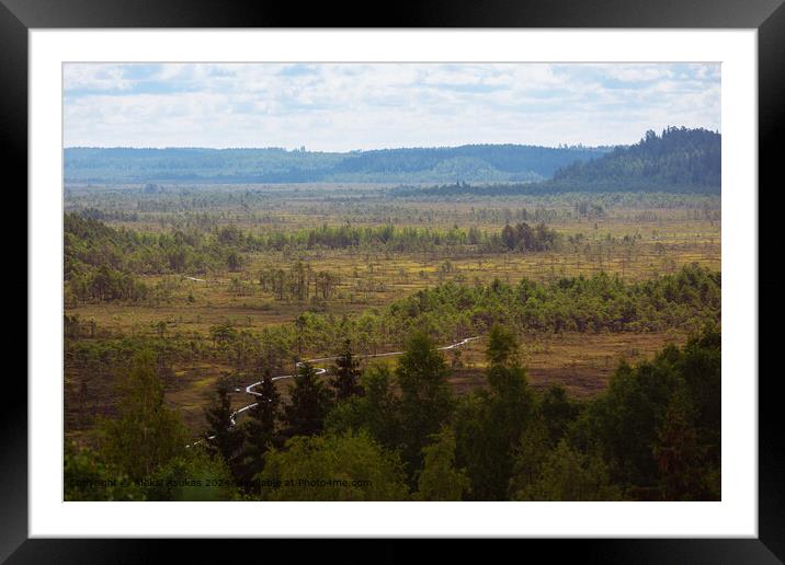 Somerontie Swamp Landscape Framed Mounted Print by Aleksi Asukas