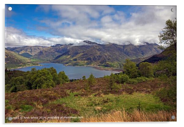 Scottish Highlands Landscape Acrylic by Arch White