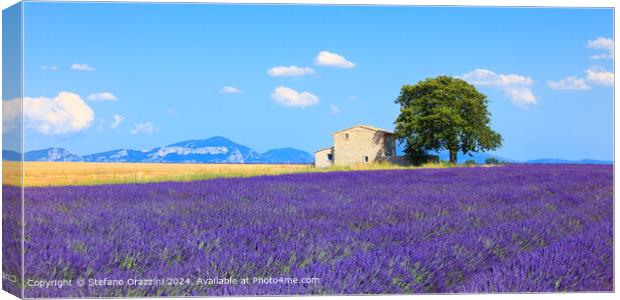 Valensole Lavender Field Panorama Canvas Print by Stefano Orazzini
