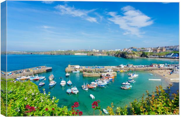 Newquay Cornwall Canvas Print by Alison Chambers