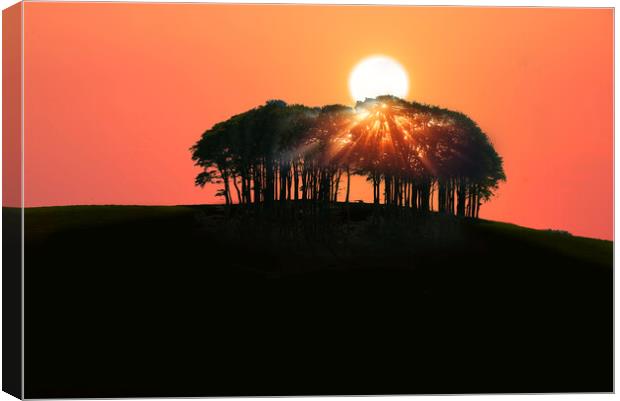 Coming Home Trees Canvas Print by Alison Chambers