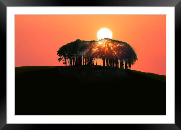 Coming Home Trees Framed Mounted Print by Alison Chambers