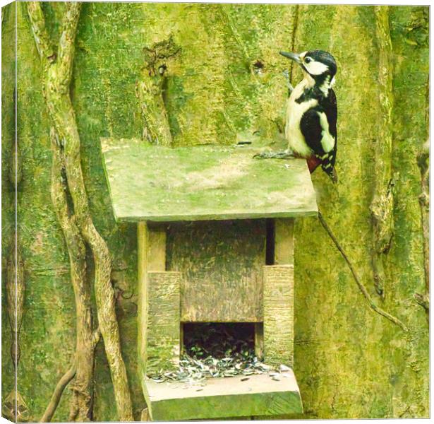 Woodpecker sitting on bird box Canvas Print by chris hyde