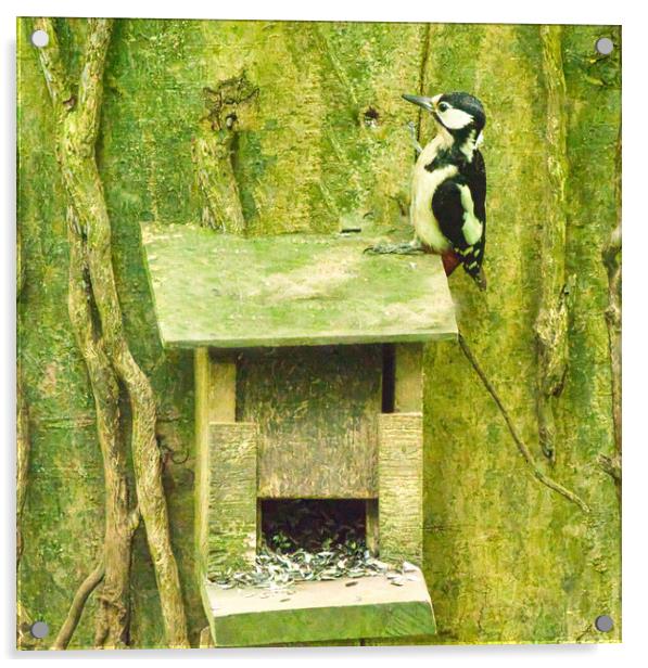 Woodpecker sitting on bird box Acrylic by chris hyde