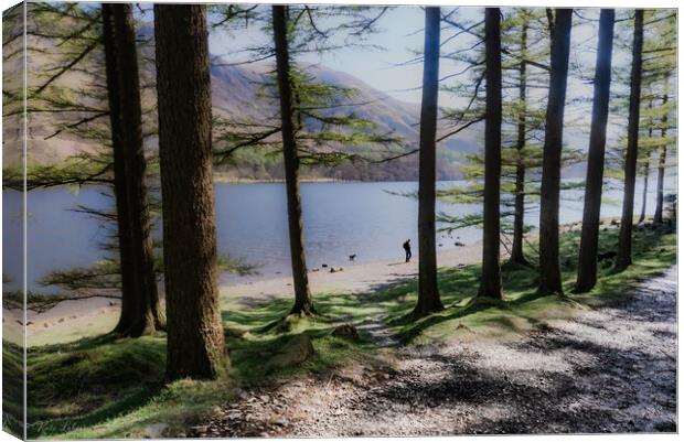 Buttermere Lake Walk Canvas Print by Kate Lake