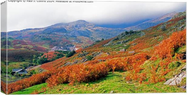 Coniston Fells in Autumn  Canvas Print by Paul J. Collins