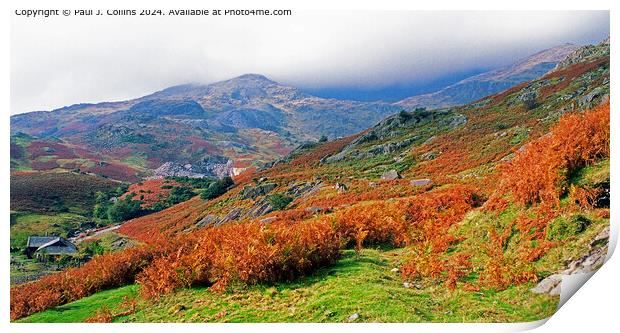 Coniston Fells in Autumn  Print by Paul J. Collins