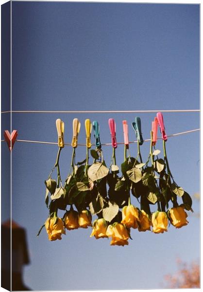 Hung Out to Dry Canvas Print by Richard Masters