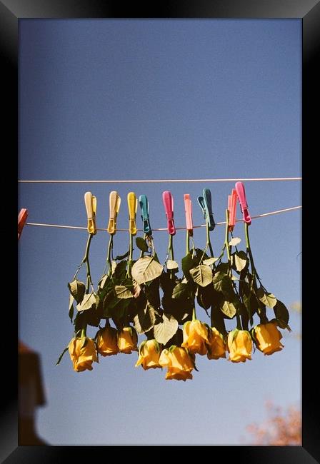 Hung Out to Dry Framed Print by Richard Masters