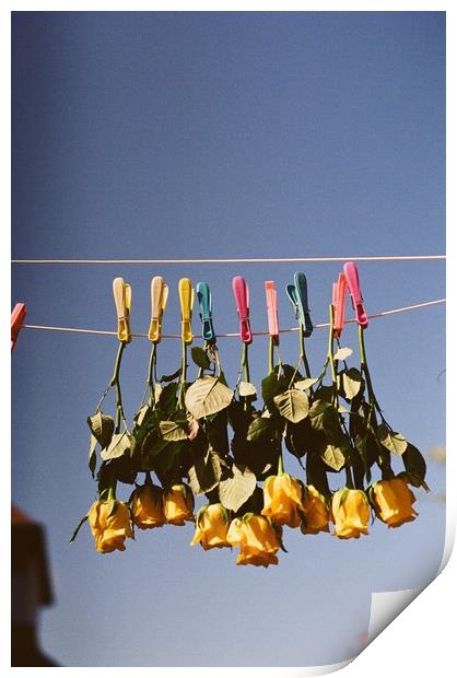 Hung Out to Dry Print by Richard Masters