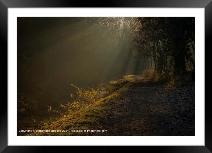 Shropshire Canal Sunrays  Framed Mounted Print by Ironbridge Images