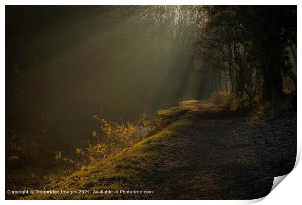Shropshire Canal Sunrays  Print by Ironbridge Images