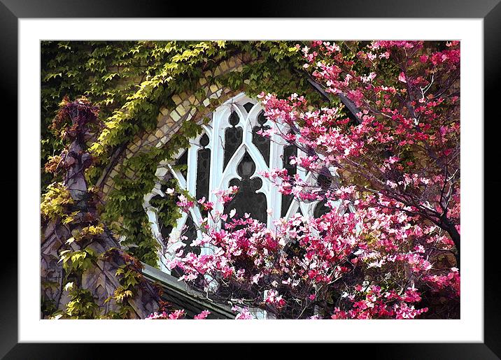 Church Window in Spring...misc  Framed Mounted Print by Elaine Manley