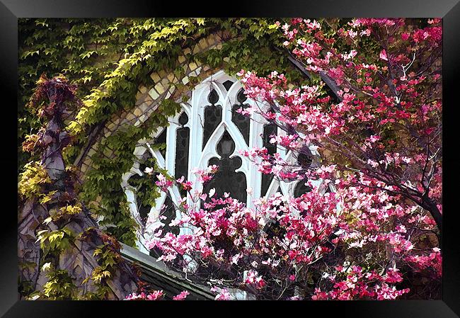 Church Window in Spring...misc  Framed Print by Elaine Manley