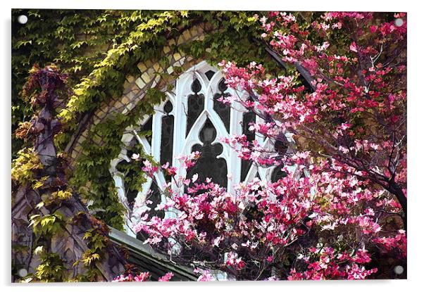 Church Window in Spring...misc  Acrylic by Elaine Manley