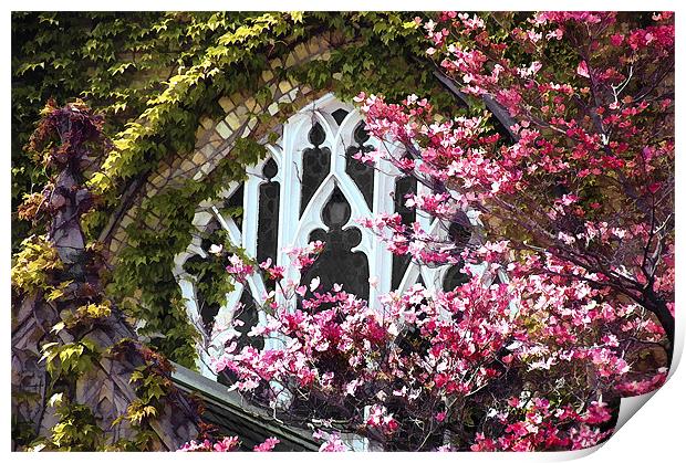 Church Window in Spring...misc  Print by Elaine Manley