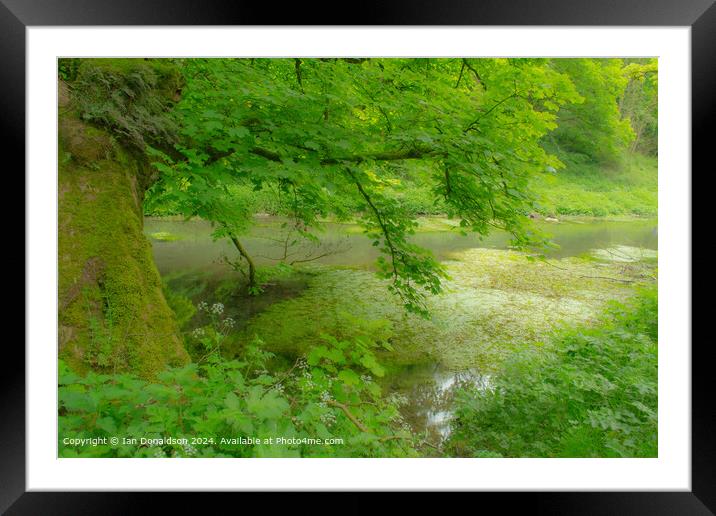Spring Green Framed Mounted Print by Ian Donaldson