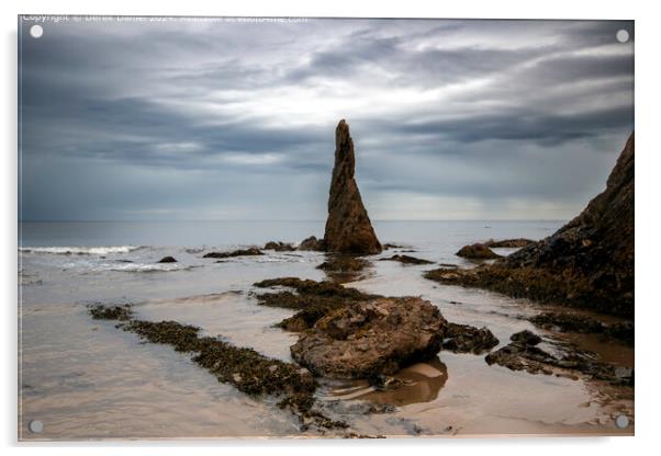 Cullen Beach Sea Stacks Acrylic by Derek Daniel
