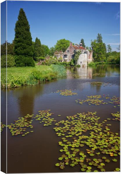 Lily Pads, Moat, Scotney Castle Canvas Print by John Gilham