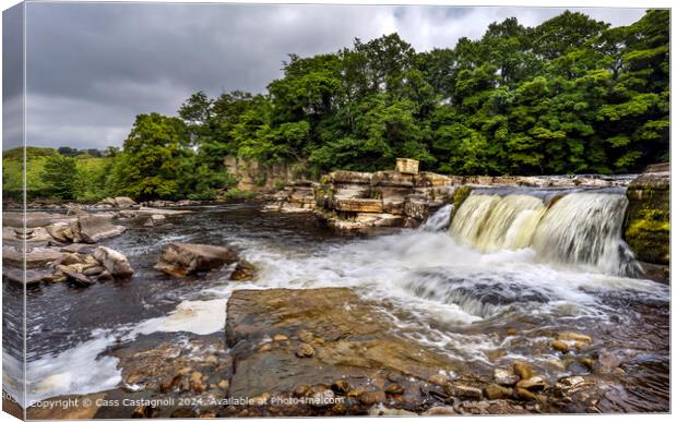 Swale River at Richmond Waterfall  Canvas Print by Cass Castagnoli