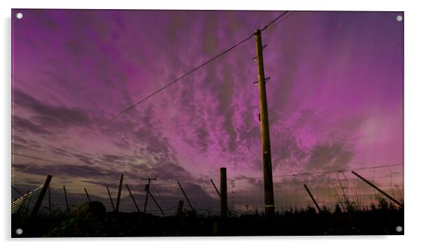Purple Aurora Fenceline Acrylic by James Buckle