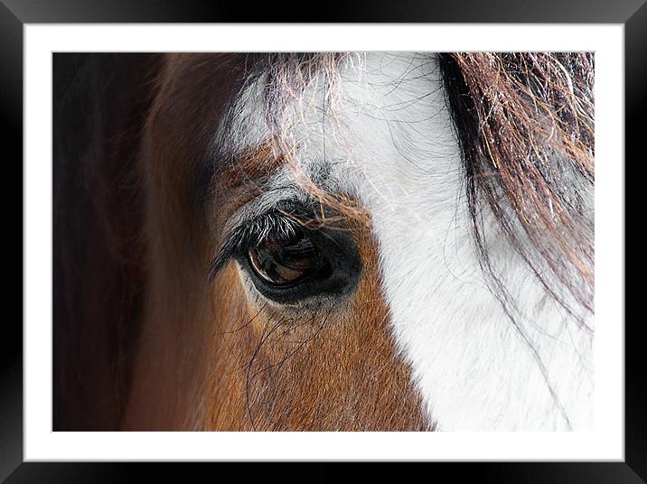Reflection in Her Eye Framed Mounted Print by Elaine Manley
