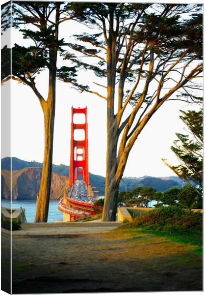 Golden Gate Bridge view framed by trees Canvas Print by Richard Masters