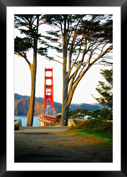 Golden Gate Bridge view framed by trees Framed Mounted Print by Richard Masters