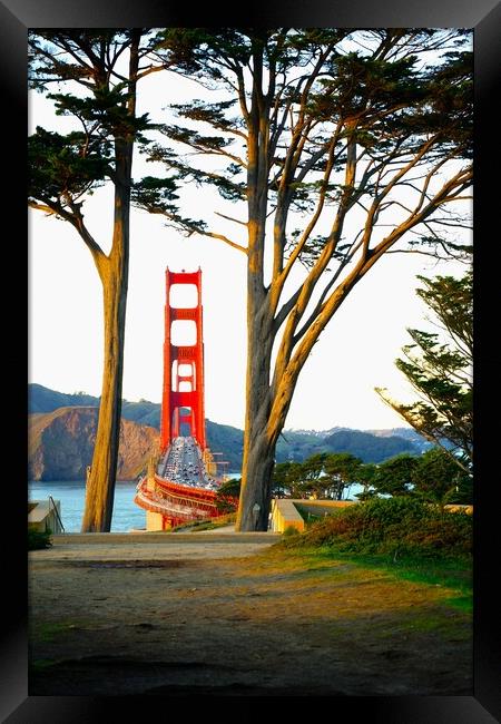 Golden Gate Bridge view framed by trees Framed Print by Richard Masters