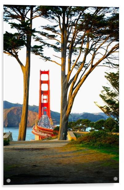 Golden Gate Bridge view framed by trees Acrylic by Richard Masters
