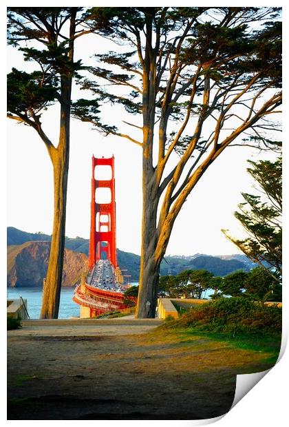 Golden Gate Bridge view framed by trees Print by Richard Masters