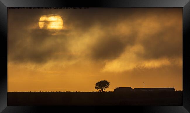 Golden Sunlight Farm Sunset Framed Print by Alan Dunnett