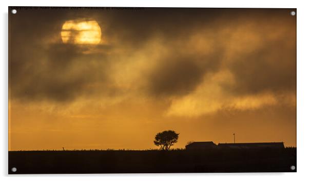 Golden Sunlight Farm Sunset Acrylic by Alan Dunnett